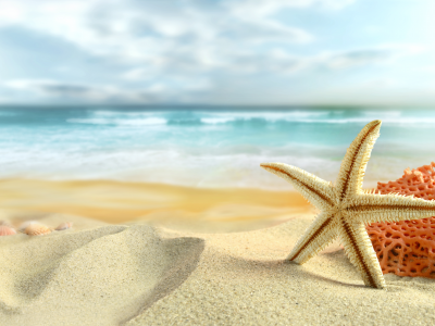 starfish, sand, лето, nature, sky, beach, clouds, shells, sea