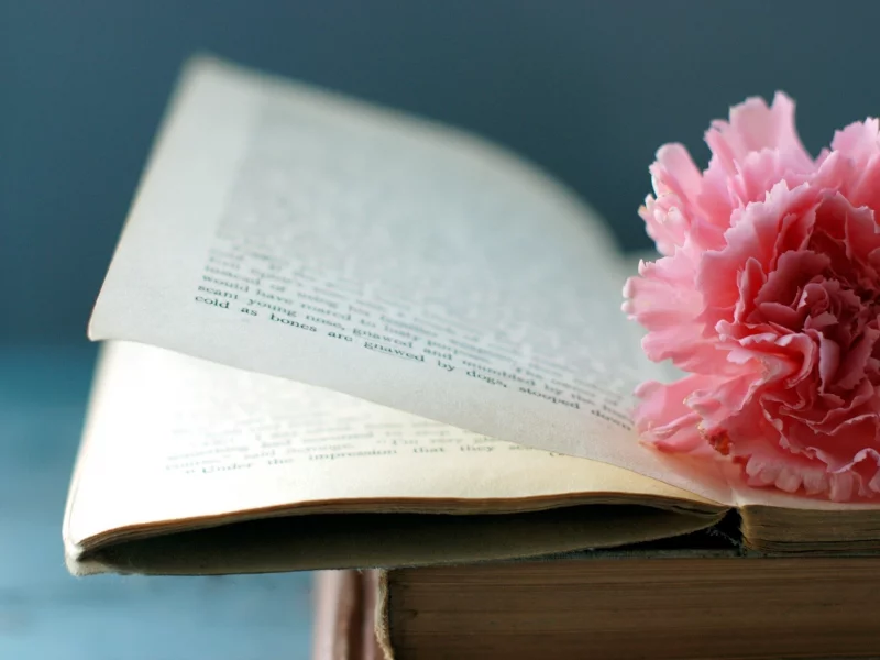книга, макро, цветок, страницы