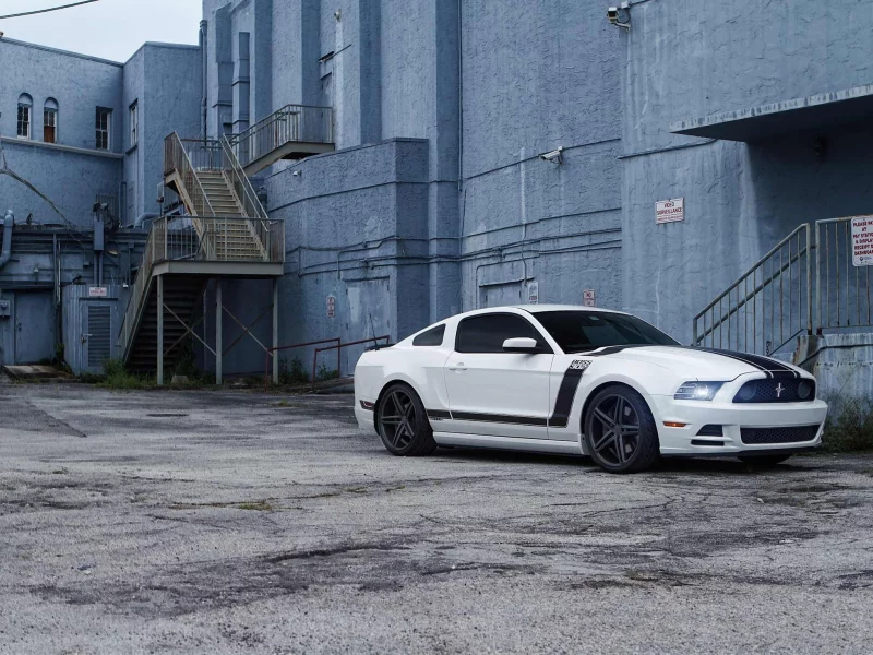 sky, mustang, white, ford, форд, мустанг, boss302