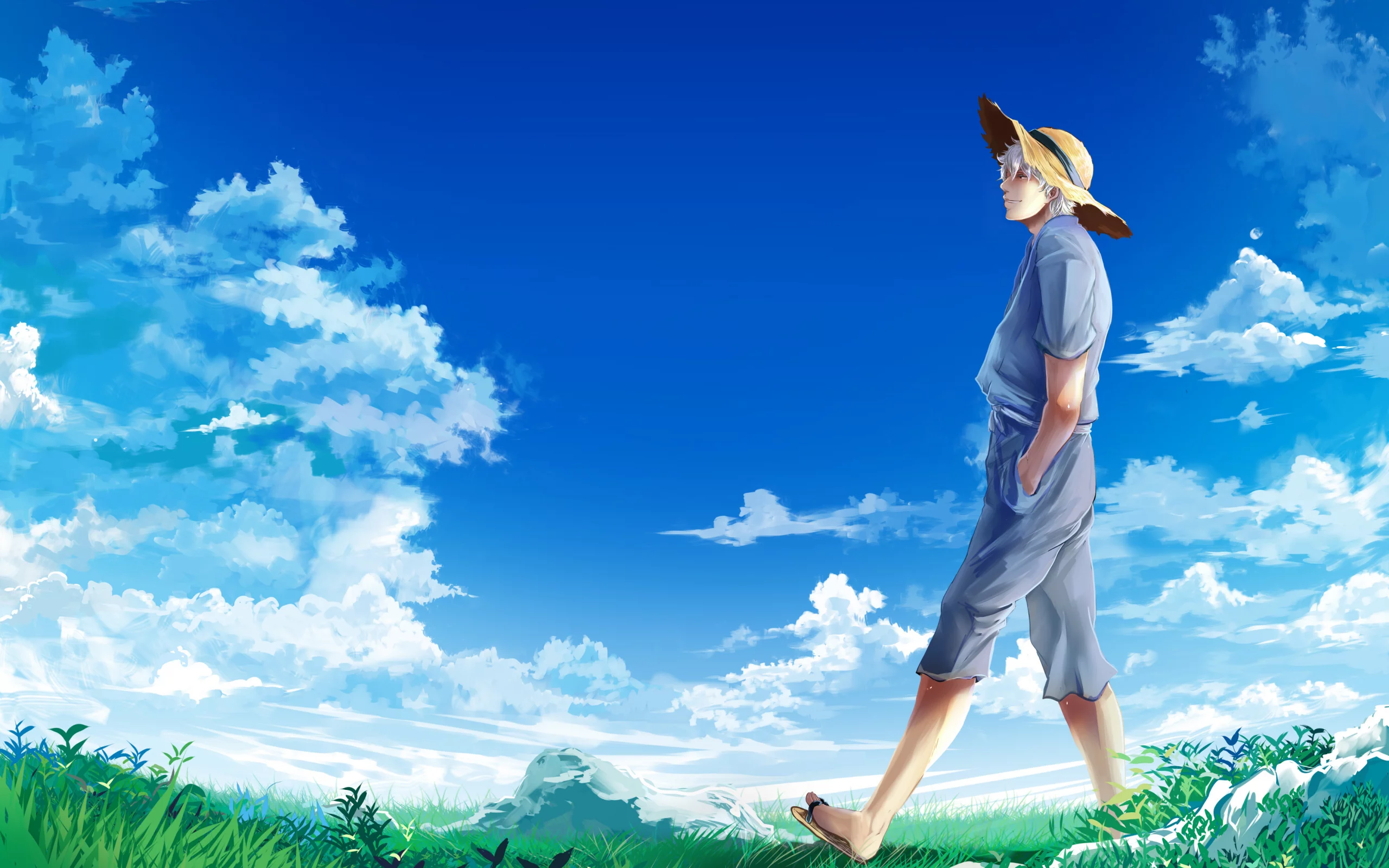 луг, gintama, sakata gintoki, гинтама, парень