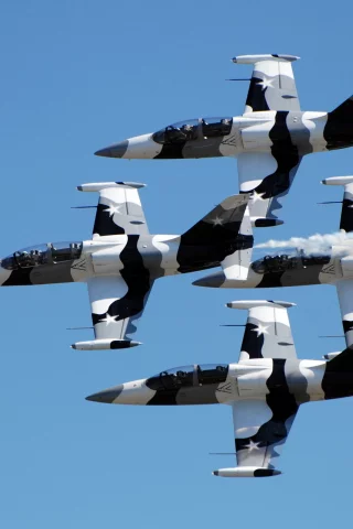 l-39 albatross, небо, самолёты