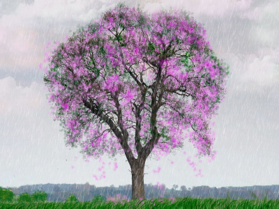 весна, дождь, арт, дерево