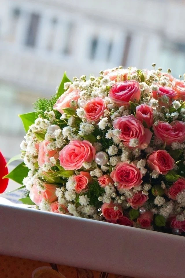 розы, цветы, праздники, листья