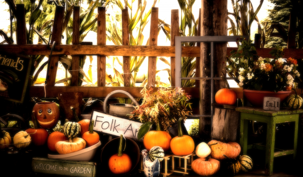 fall, halloween, autumn, pumpkins