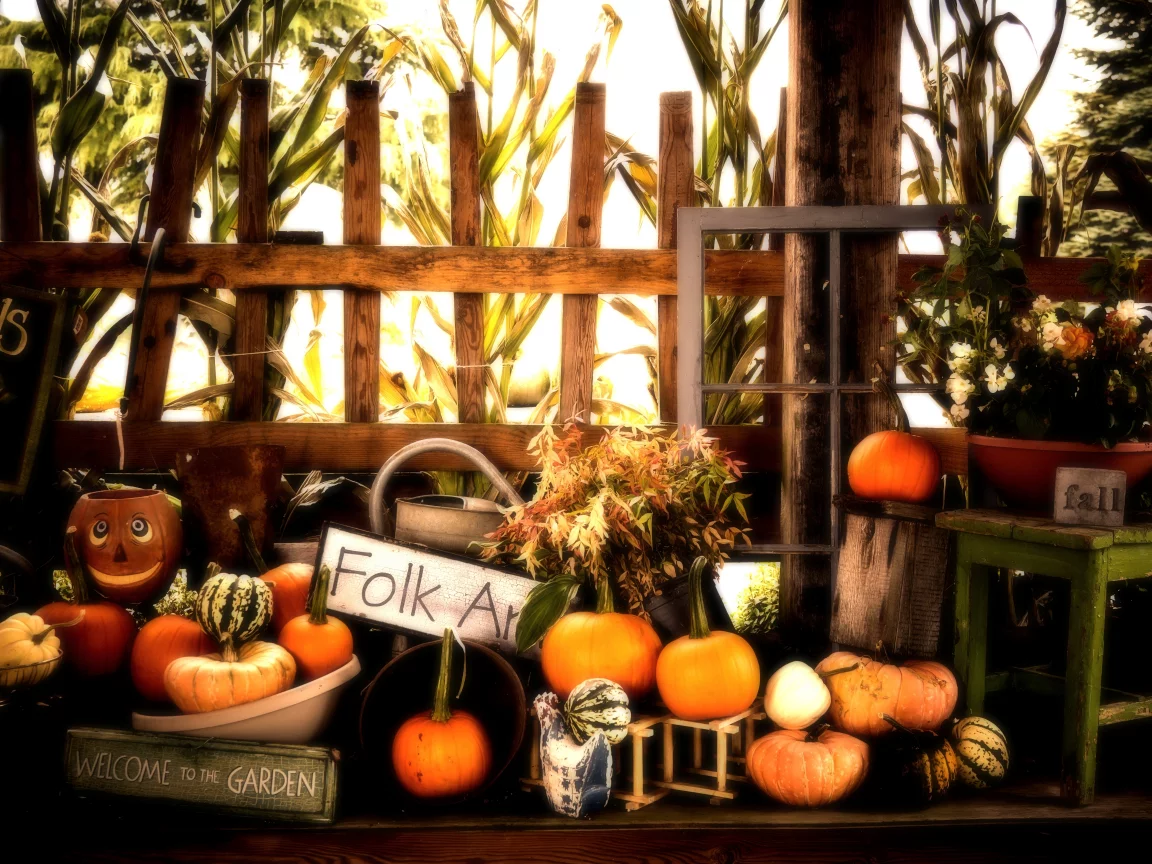 fall, halloween, autumn, pumpkins