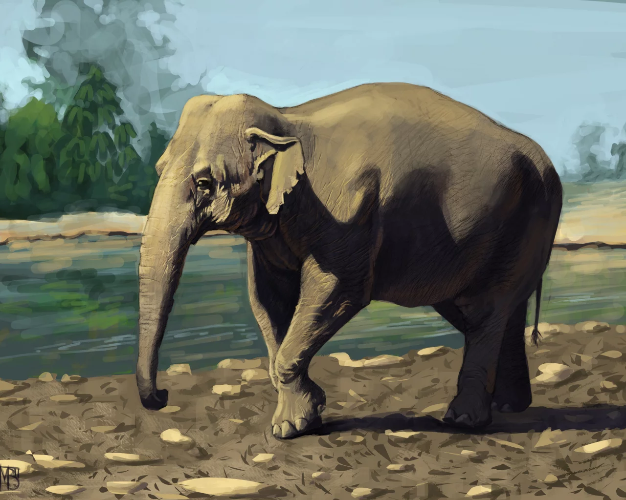 животное, слон, зелень, indian elephant, река