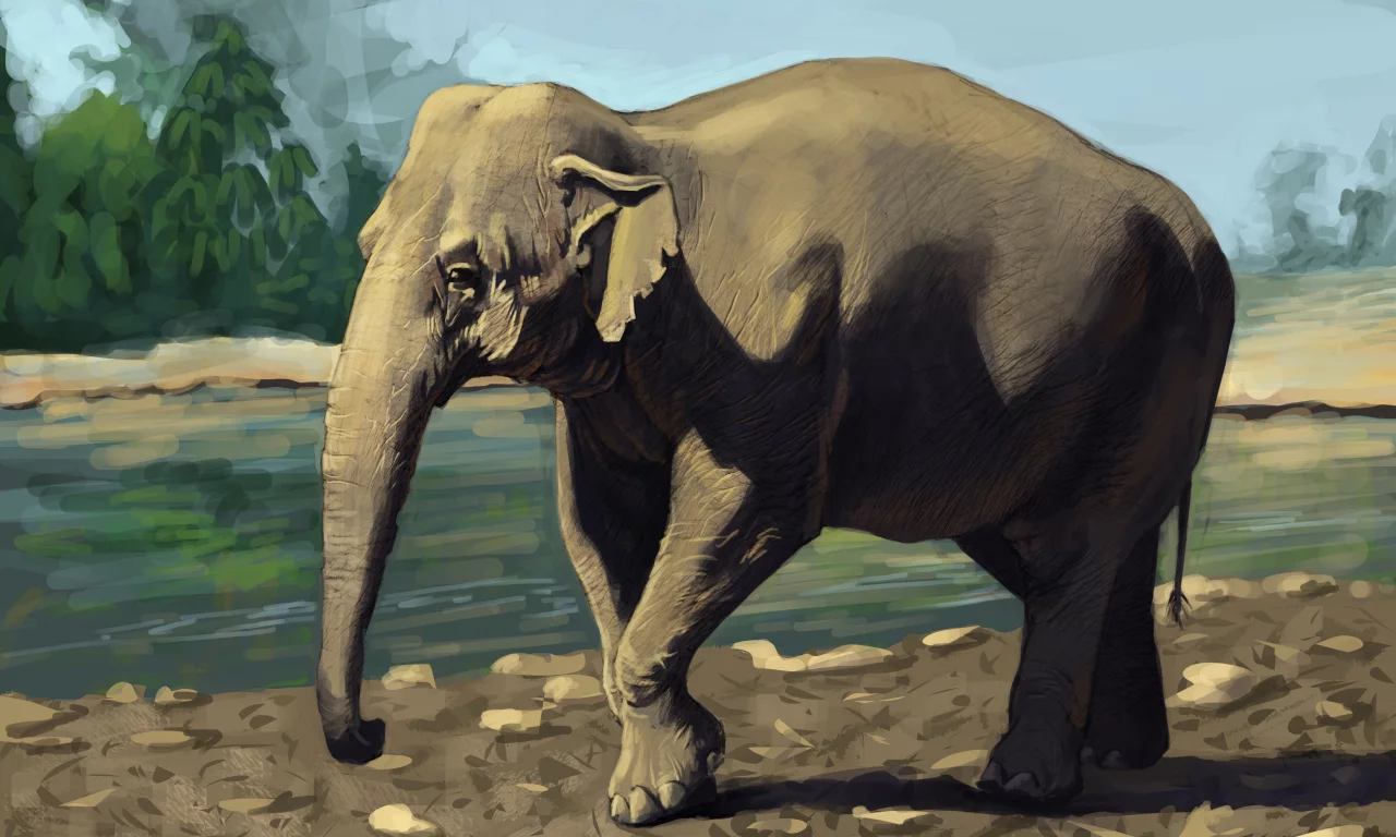 животное, слон, зелень, indian elephant, река