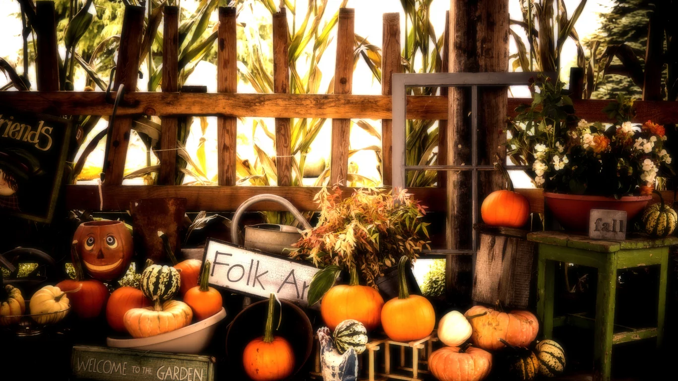 fall, halloween, autumn, pumpkins