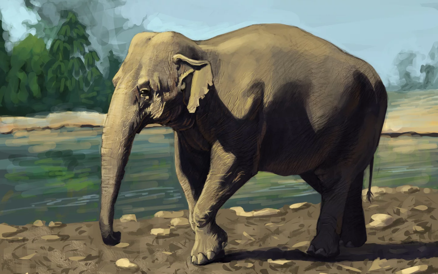 животное, слон, зелень, indian elephant, река