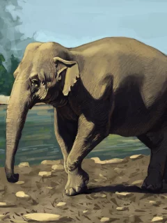 животное, слон, зелень, indian elephant, река