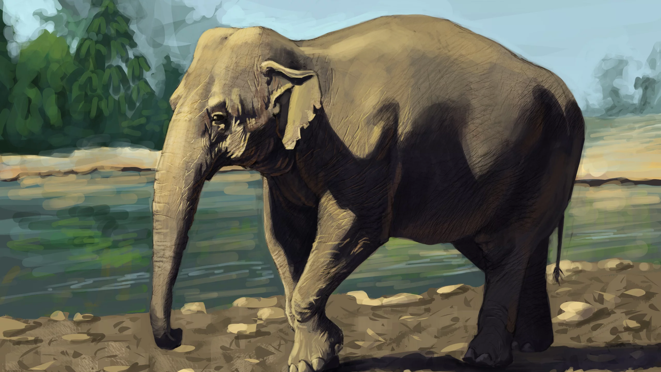 животное, слон, зелень, indian elephant, река