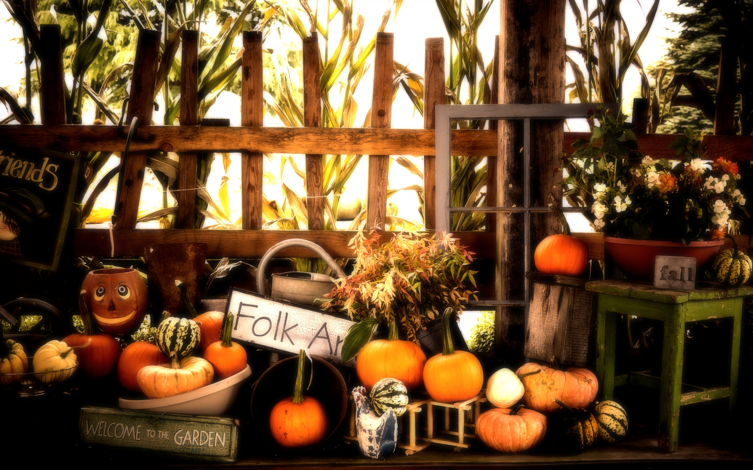 fall, halloween, autumn, pumpkins
