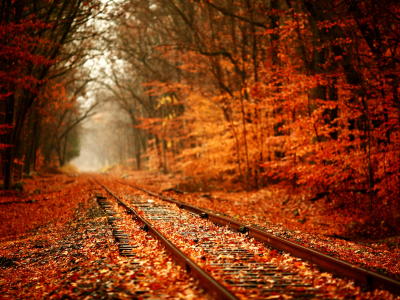 железная дорога, природа, рыжая осень