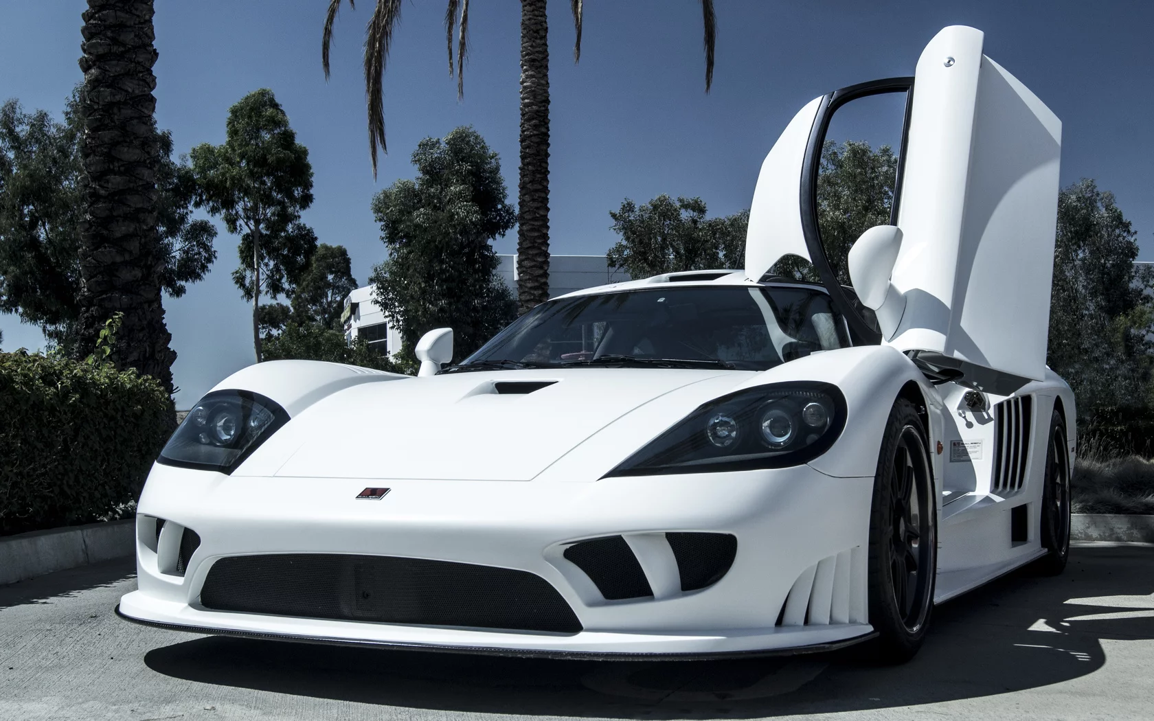 saleen s7, салин с7, sky, white, белый, trees