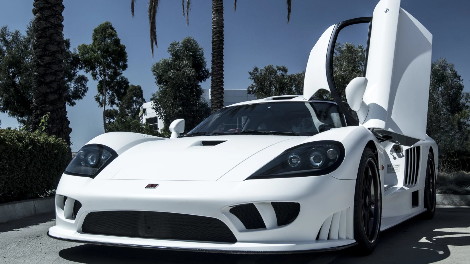 saleen s7, салин с7, sky, white, белый, trees