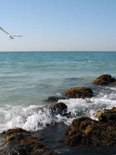 море, персидский, залив, берег, скалы, ОАЭ, курорт, отдых, обои
