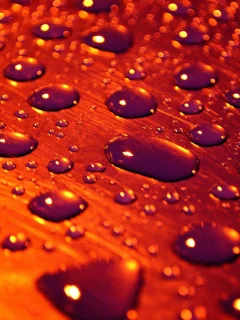 капли, поверхность, вода, macro, drops of rain