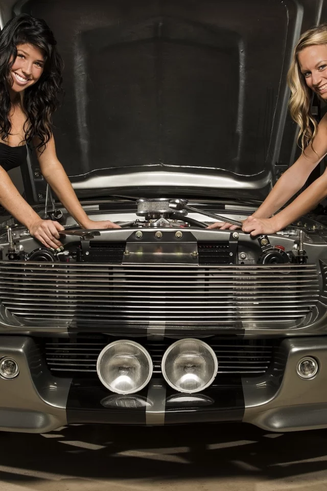 ford mustang, блондинка, shelby, брюнетка, gt500