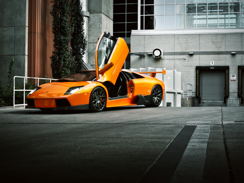 ламборджини, lamborghini, orange, front, murcielago