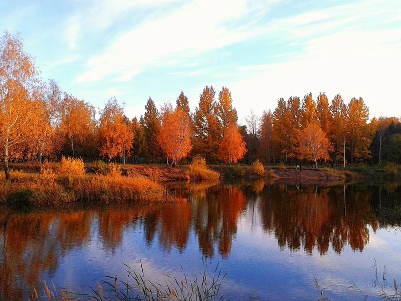 лучи, закат, парк, вечер, осень, омск