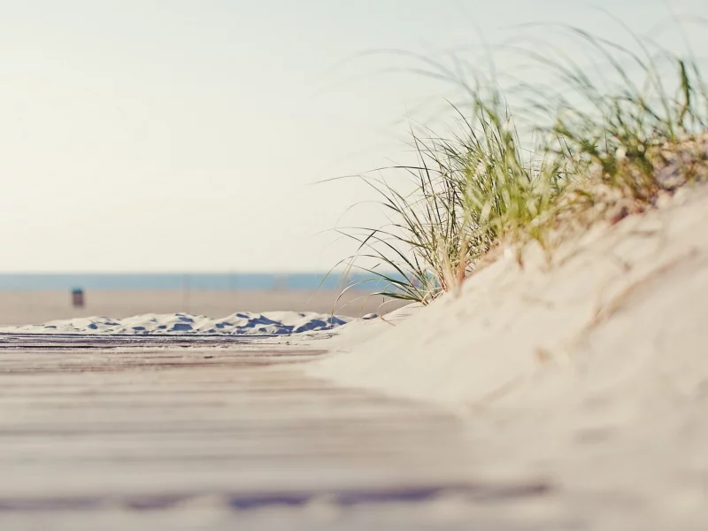 summer, beach, beauty