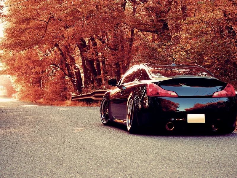 инфинити, background, g35, autumn, infiniti, осень