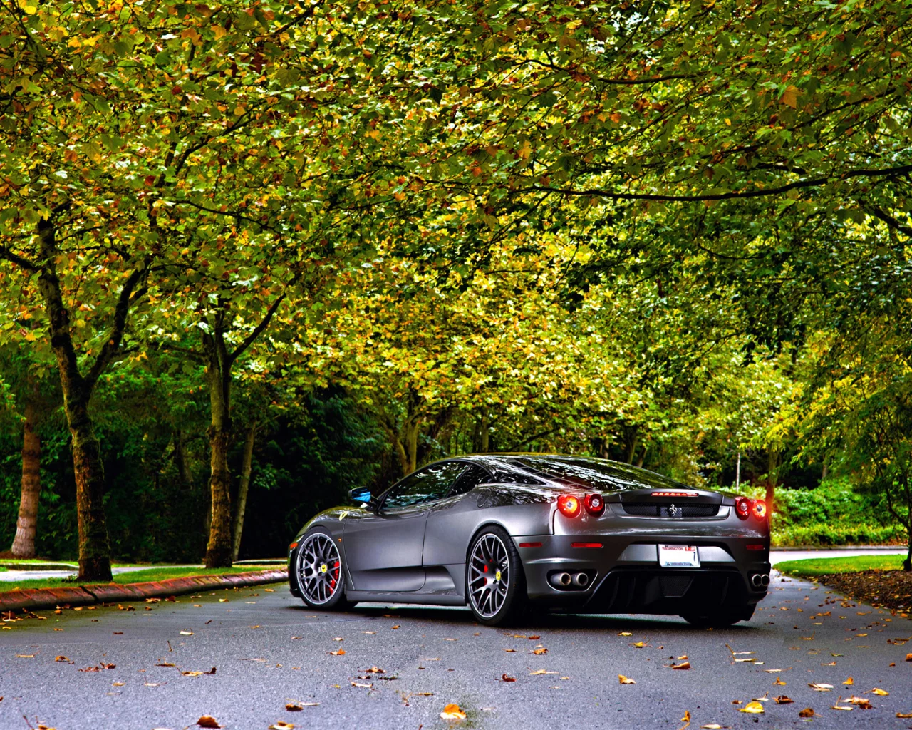 green, 430, tuning, silver, ferrari, leaf, trees, wheels, autumn