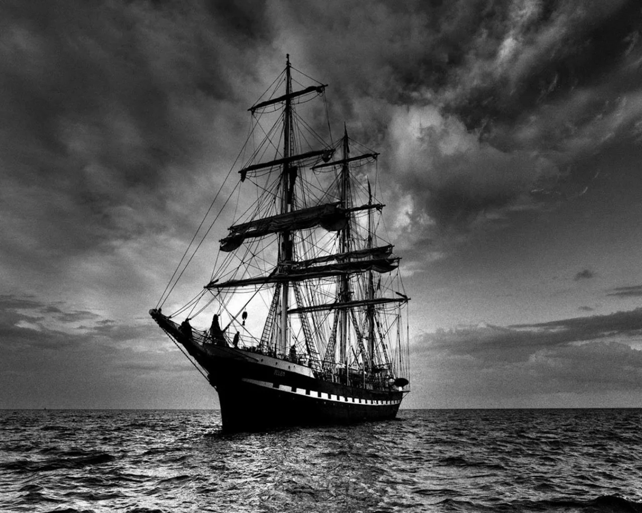 фрегат, море
