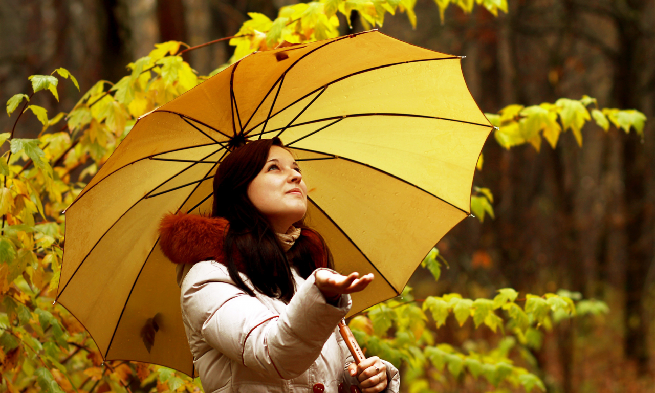 зонт, лес, шатенка, куртка, жёлтый