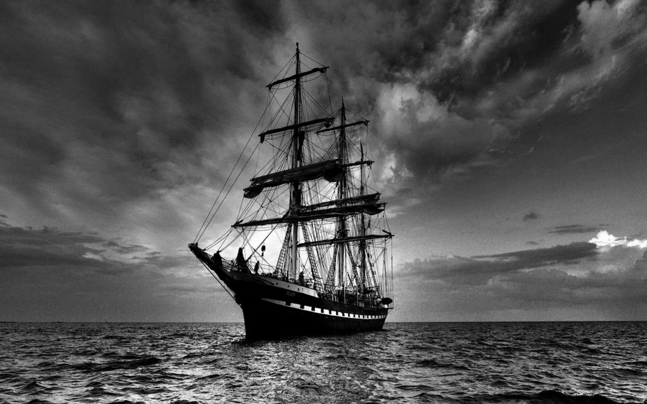 фрегат, море