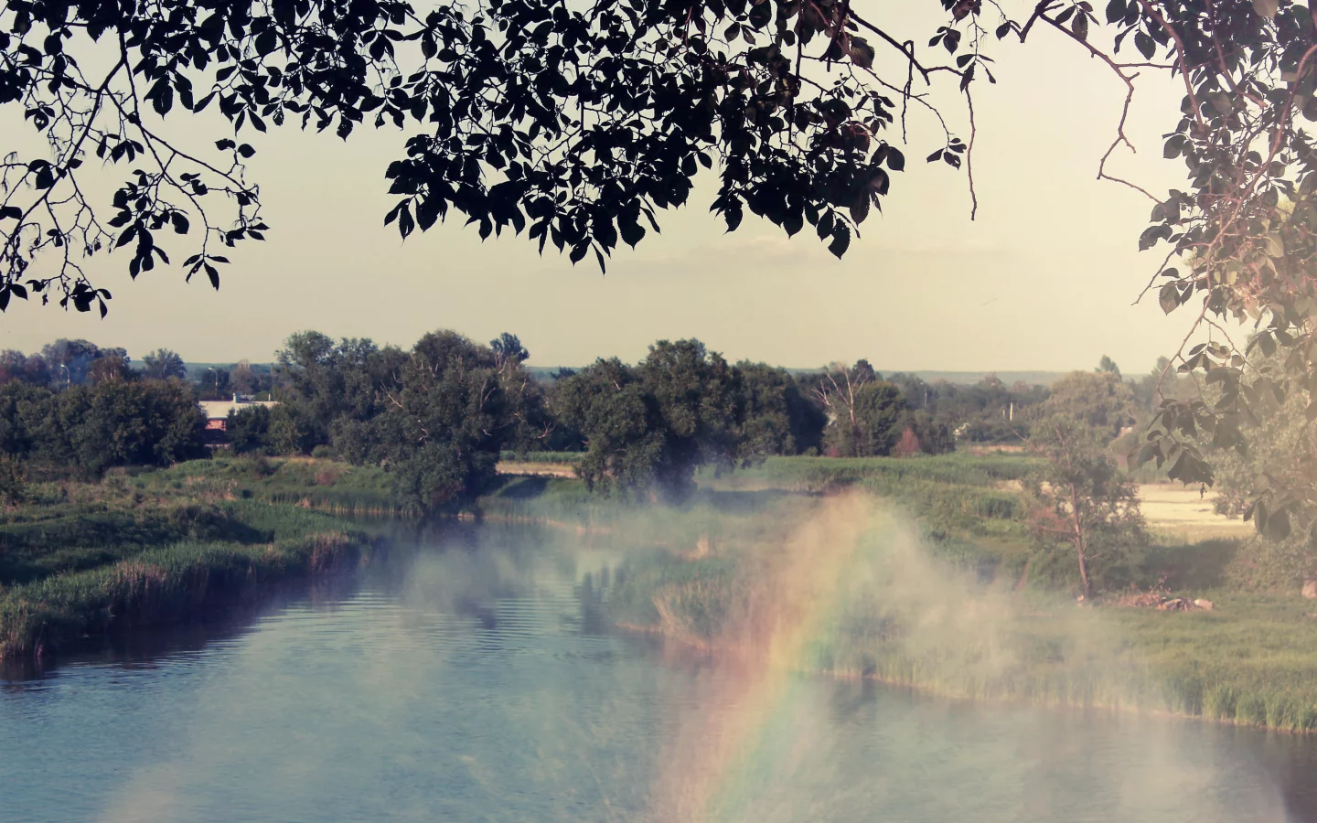 лето, вода, солнце