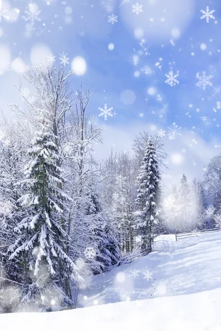 природа, пейзаж, деревья, зима, снег