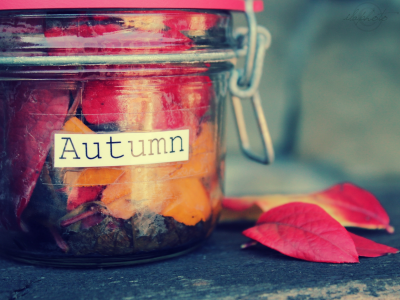 осень, баночка, надпись, листья