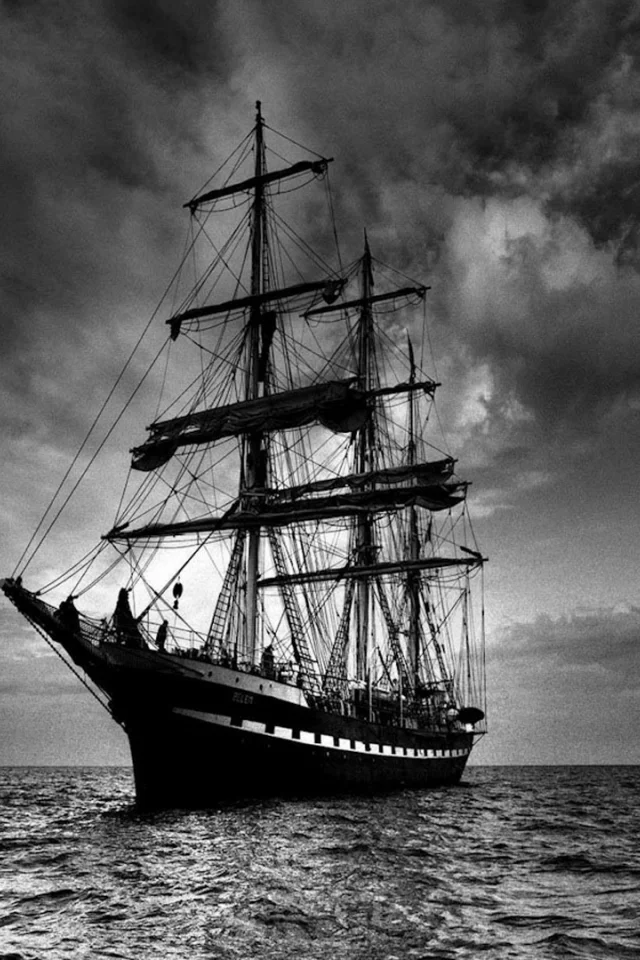 фрегат, море