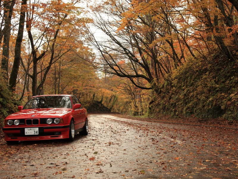 Bmw, 5, e34