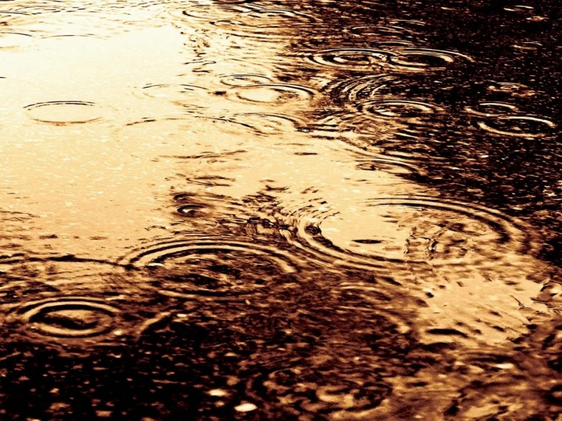 круги, вода, дождь, разводы, капли