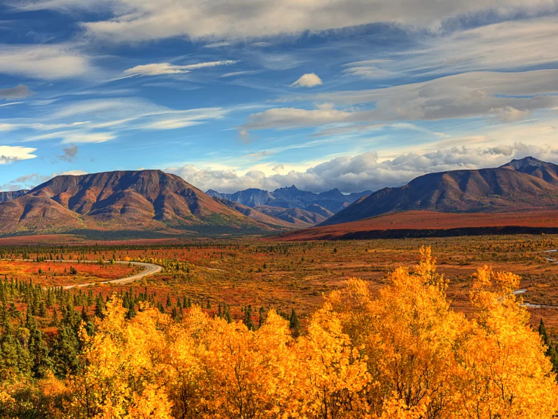 осень, аляска, сша, деревья, горы