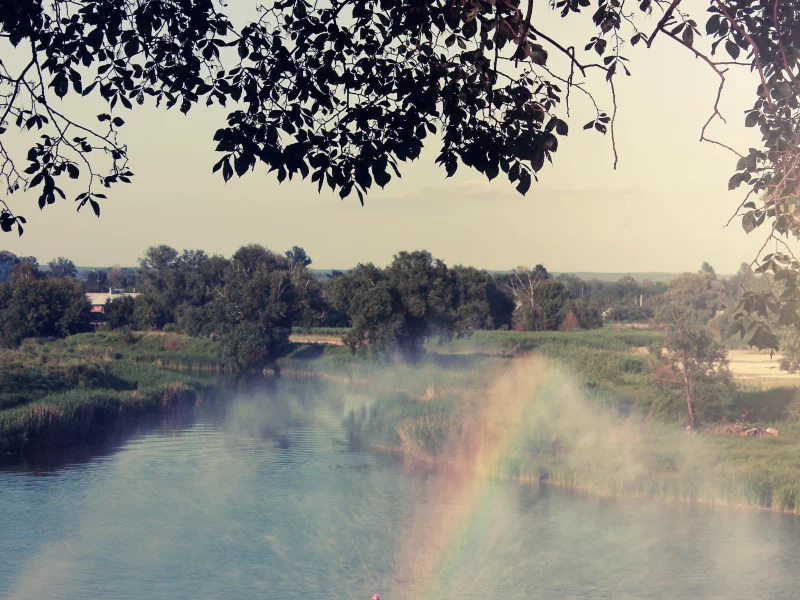 лето, вода, солнце