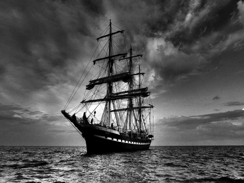 фрегат, море