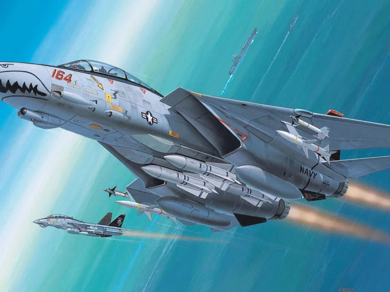 grumman, tomcat, f-14, истребитель-перехватчик