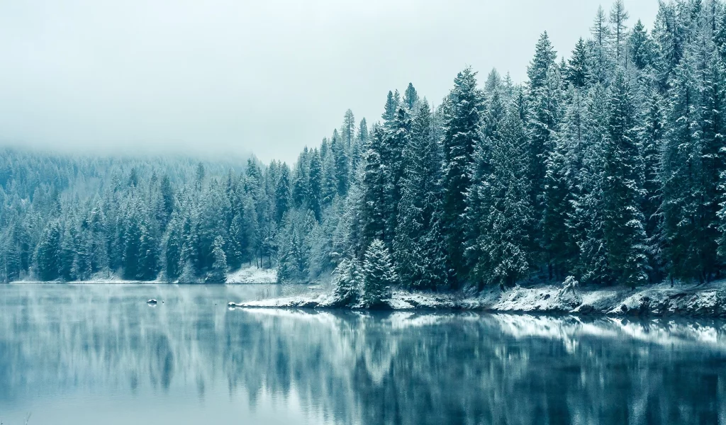 лес, Британская Колумбия, зима, отражения, снегопада, British Columbia, reflections, природа, озера, Snowfall, деревья, forest, winter, trees, nature, lakes