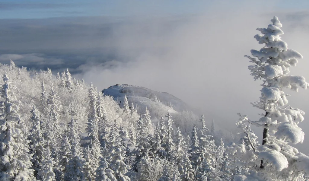 nature, landscapes, fog, mountains, snow, , trees
