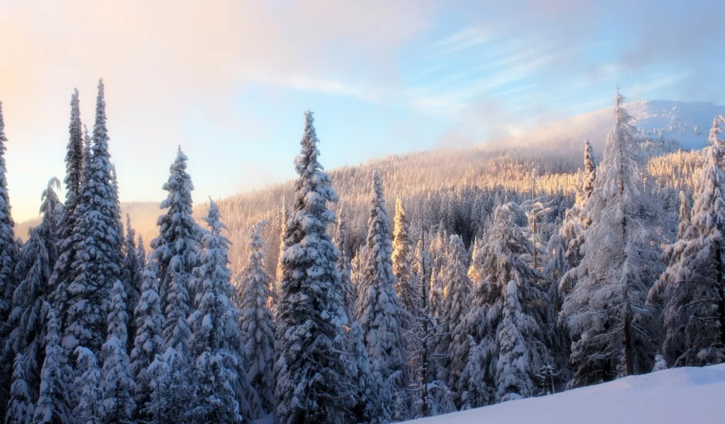 , winter