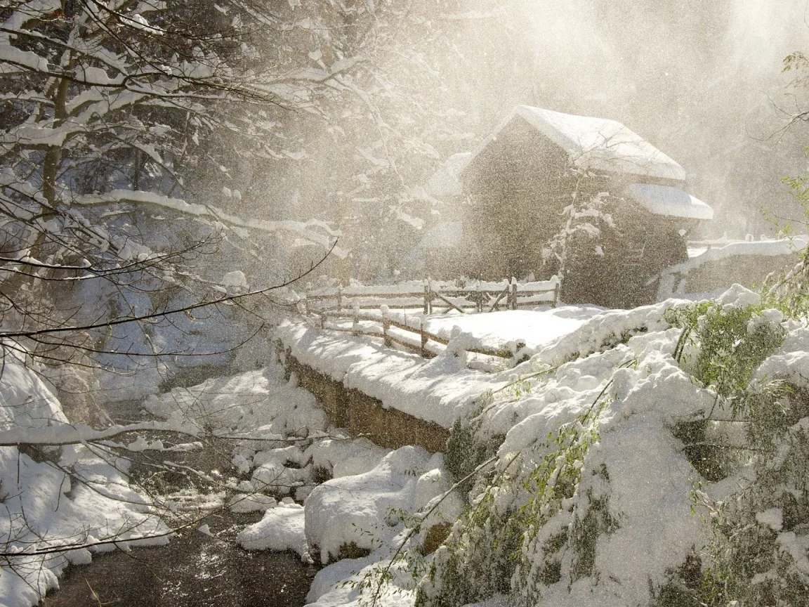 зима, winter