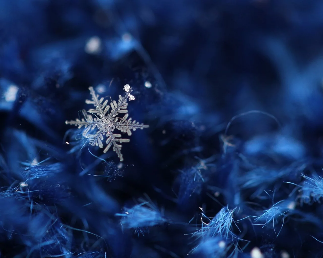 ice crystals, ледяные кристаллы, Зима, снег, snow, winter