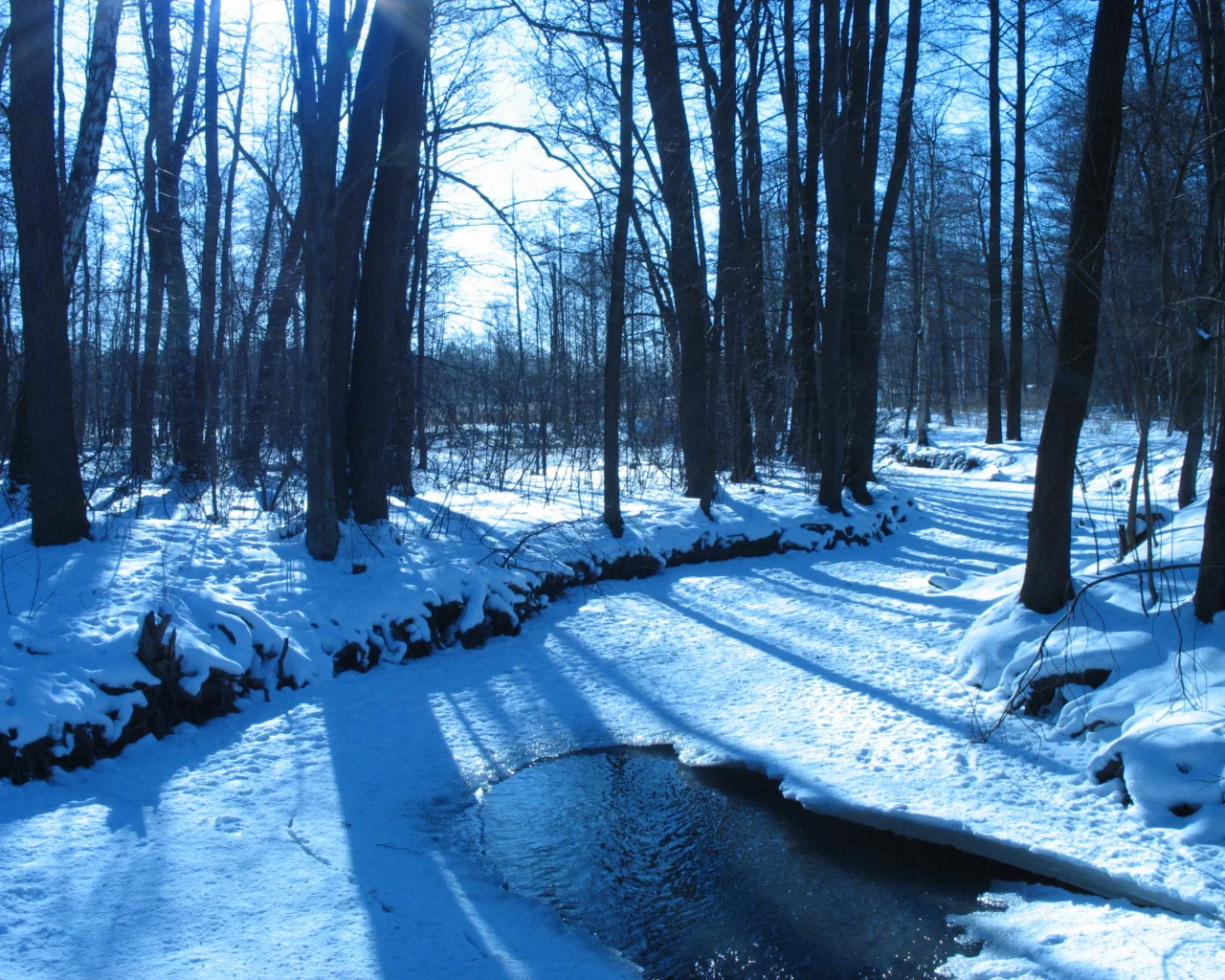 winter, ice, trees, , forest, rivers, water, nature, snow