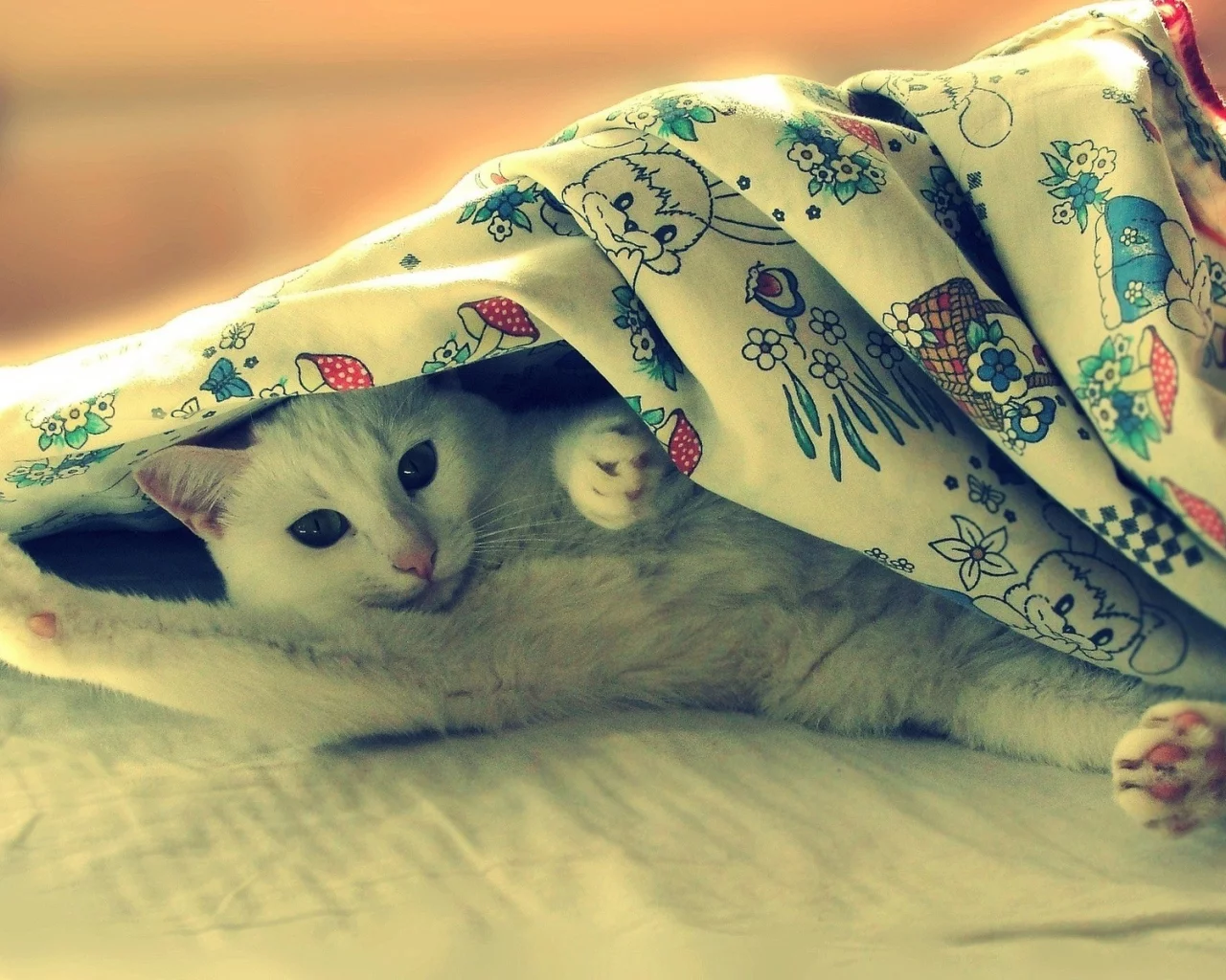 animals, животные
