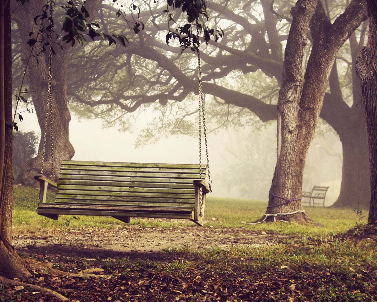 bench, скамья