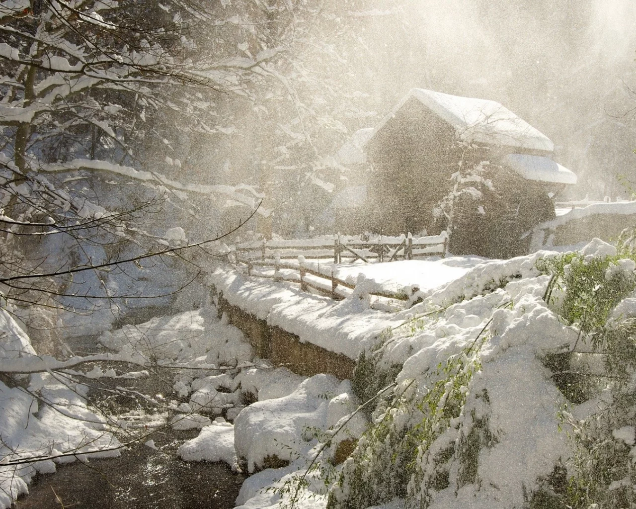 зима, winter