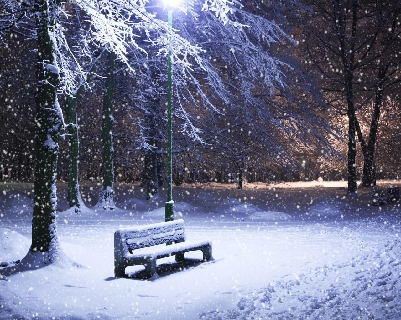 winter, зима